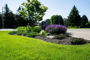 landscapers ottawa valley