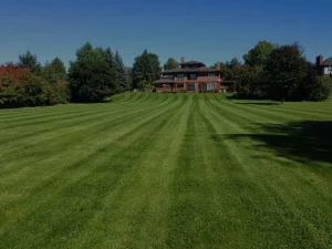 lawn care and maintenance ottawa