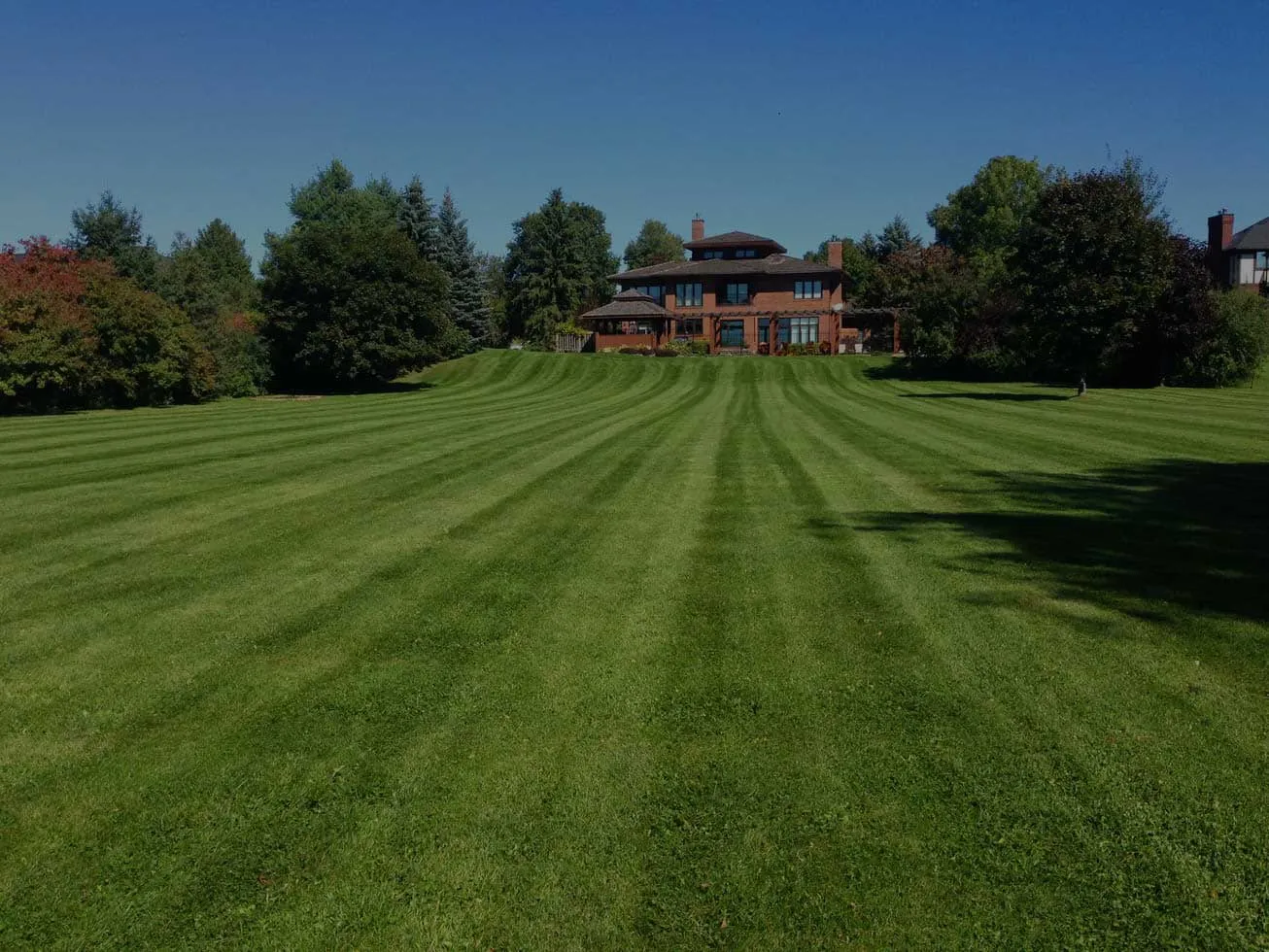 lawn care and maintenance ottawa