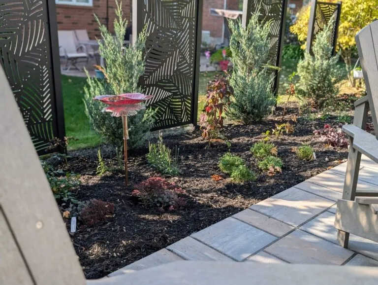small yard landscaping ottawa