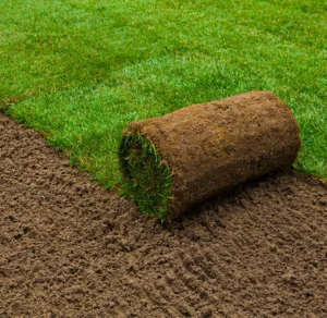 sod installation ottawa