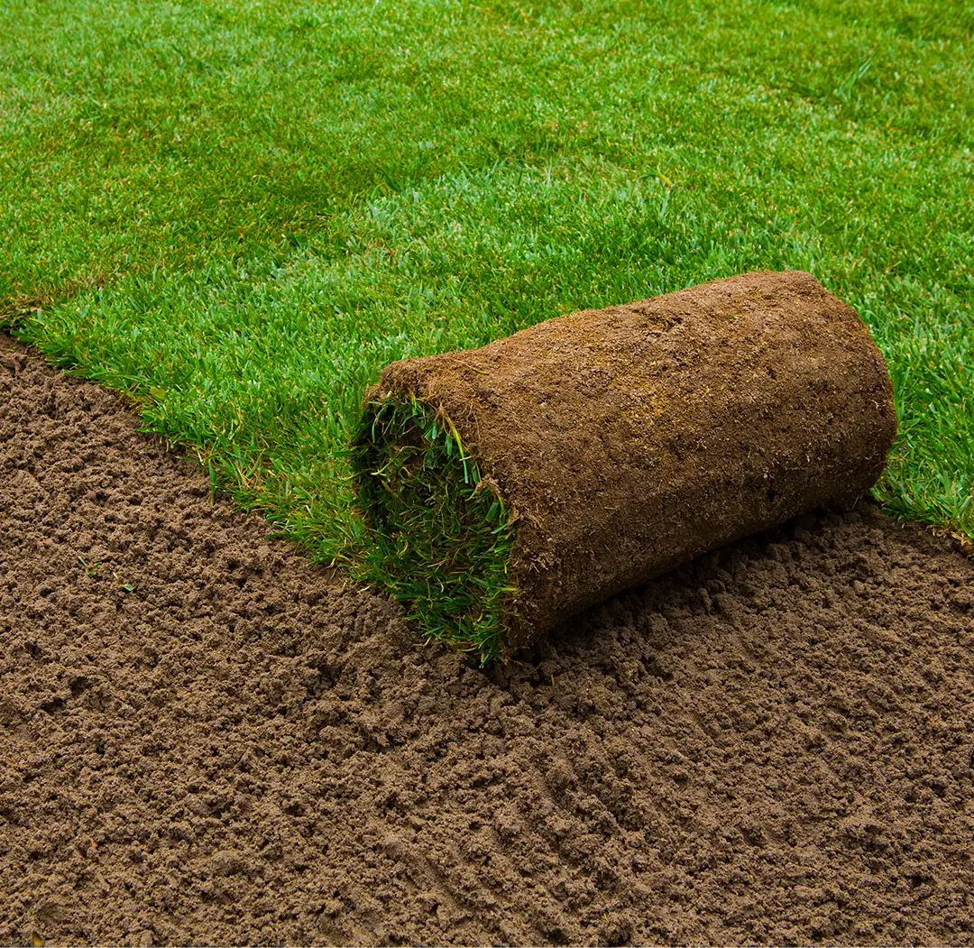 sod installation ottawa